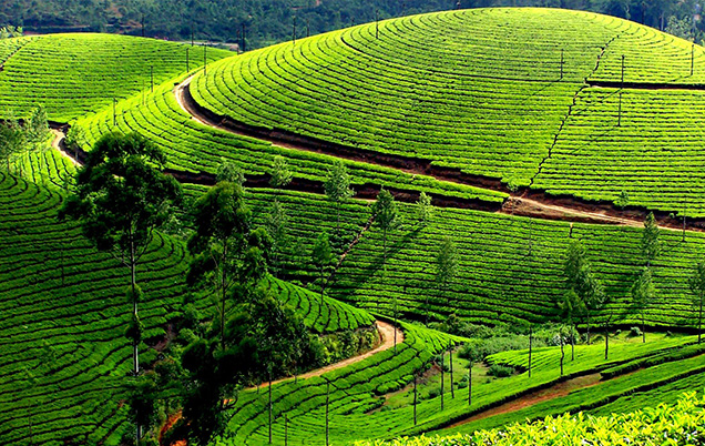 Kerala Package